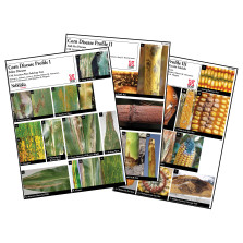 Corn Disease Profiles